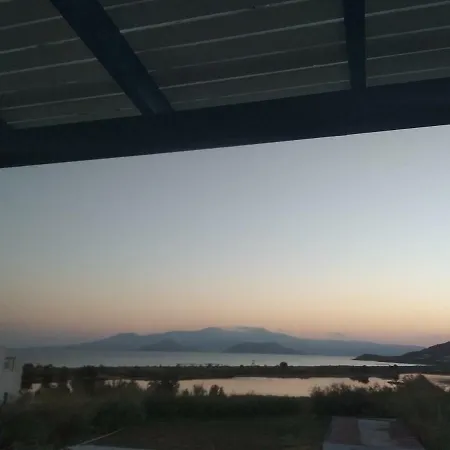 Nikoletta